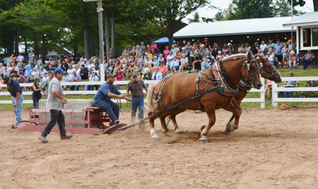 Horse Pull Alcona County Fair
